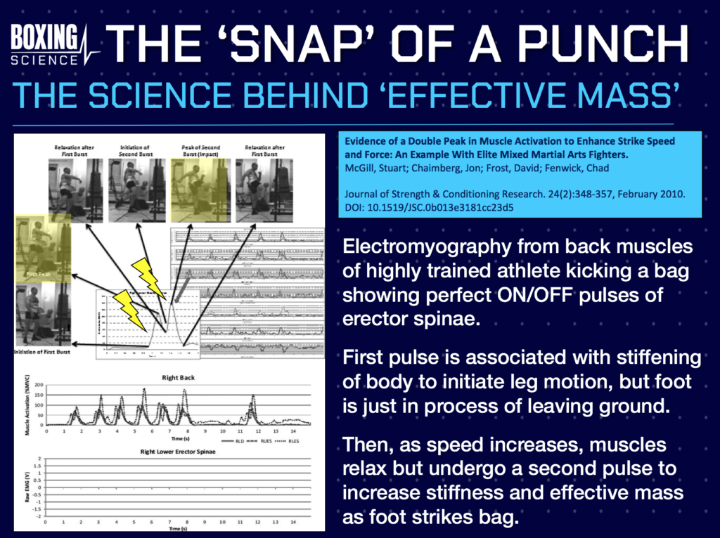 Punch Force The Science Behind The Punch