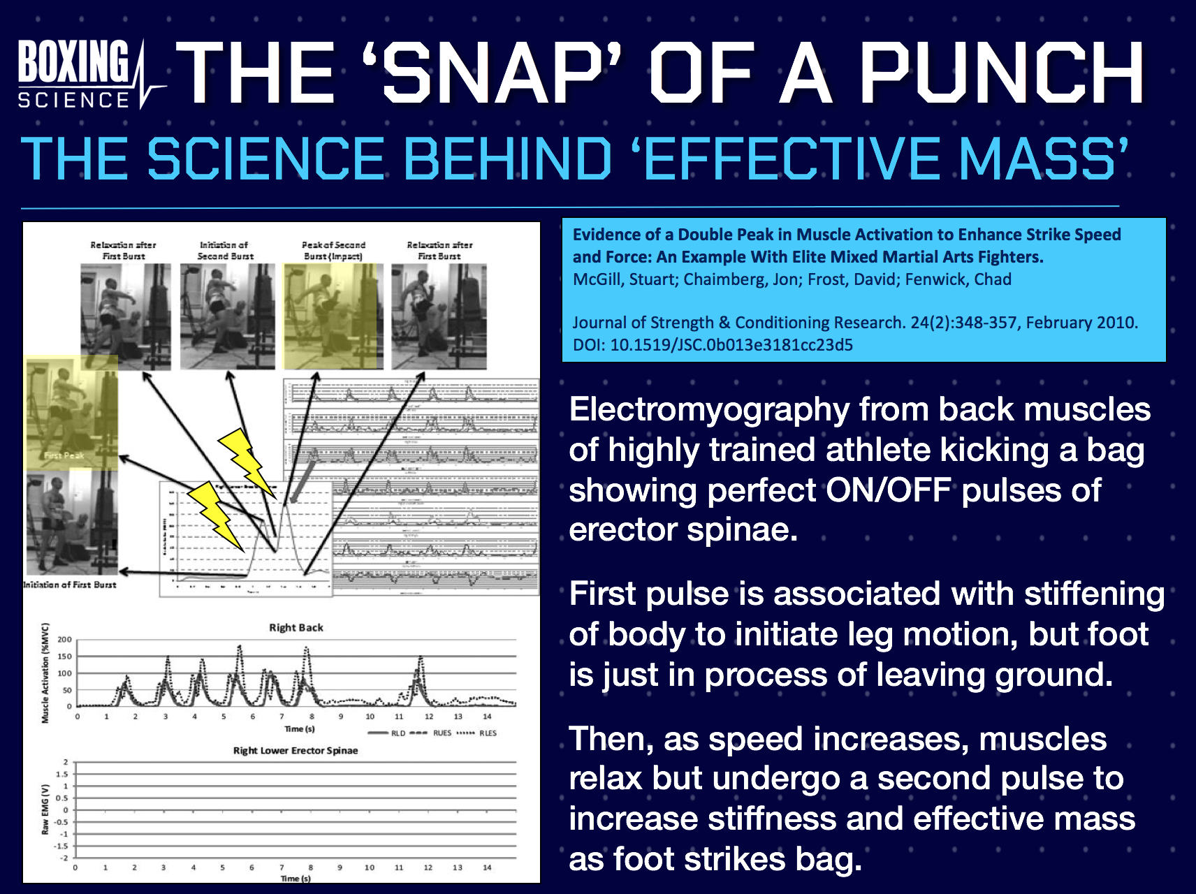 Punch Force The Science Behind The Punch
