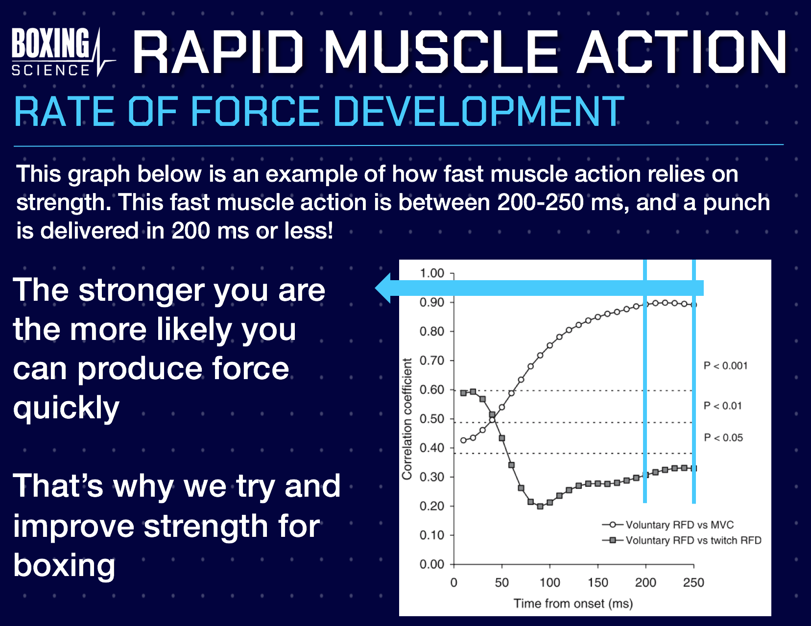 Punch Force The Science Behind The Punch