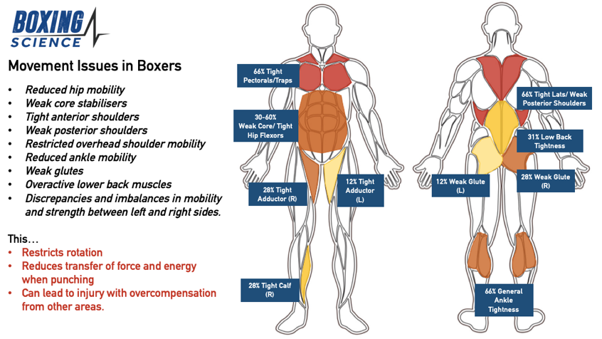 WATCH: Fitness Testing for Boxing - Boxing Science