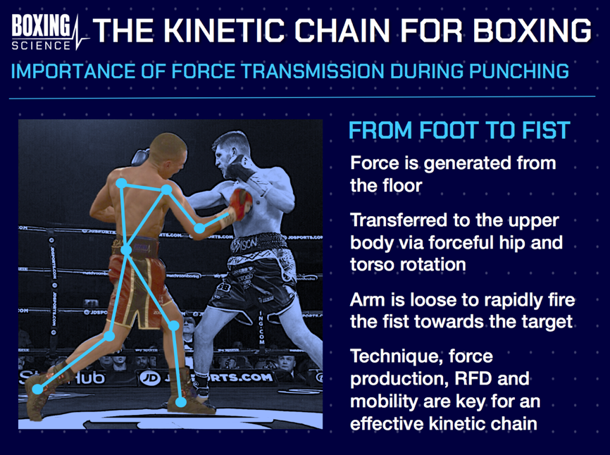 the kinetic chain for boxing