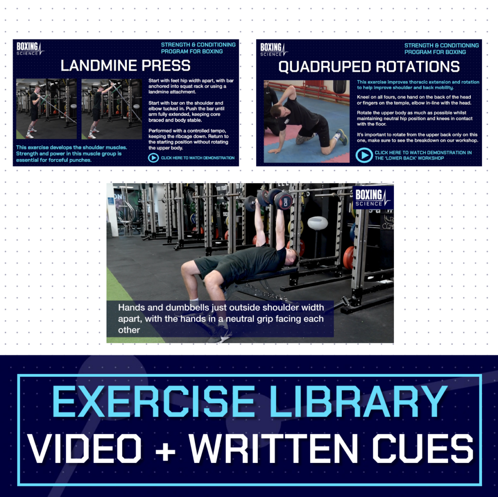 10-Week Strength And Conditioning Program - Boxing Science
