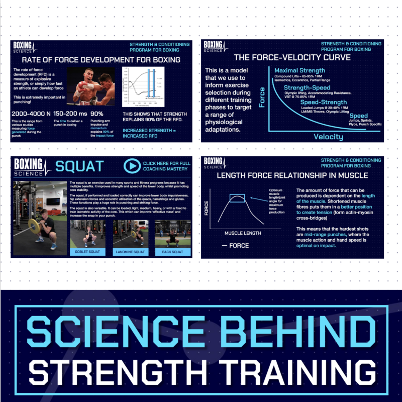 10Week Strength And Conditioning Program Boxing Science