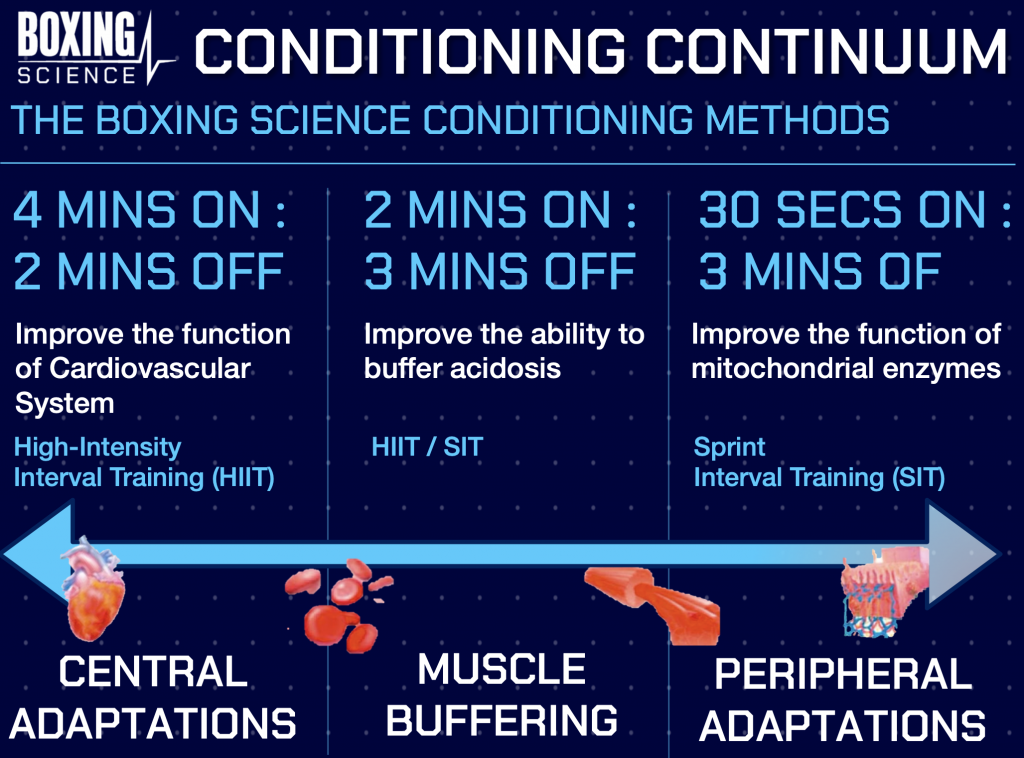 Boxing conditioning. Boxing method. High condition.