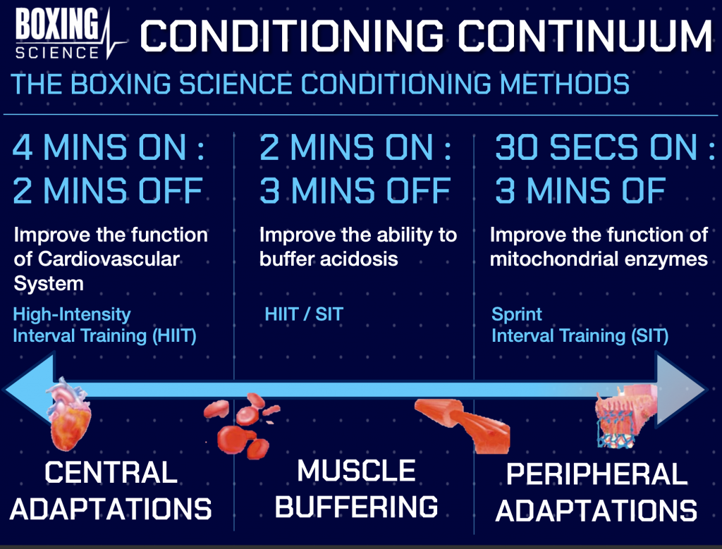 Boxing outlet training split